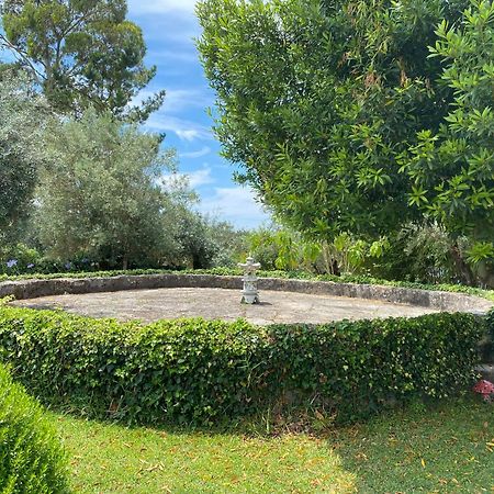 Casa Da Eira - Villas De Campo Ferreira do Zêzere Екстериор снимка
